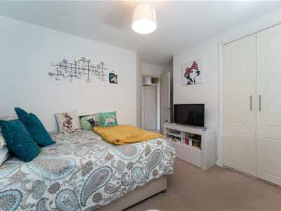 Picture 19